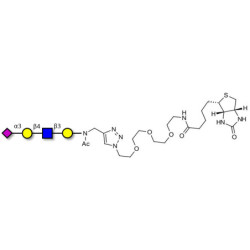 Sialylated tetraose type 2 linked to biotin (Linker-BT A)