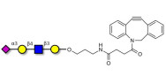 Sialylated tetraose type 2...
