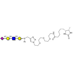 Sialylated tetraose type 2 linked to desthiobiotin (Linker-DBT-A)