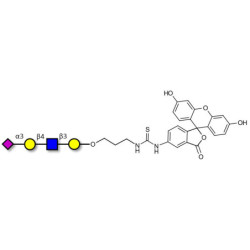 Sialylated tetraose type 2 linked to fluorescein (Linker-FLUO A)