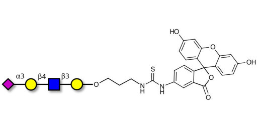Sialylated tetraose type 2 linked to fluorescein (Linker-FLUO A)