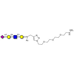 Sialylated tetraose type 2 grafted on gel for affinity chromatography (Linker-GEL A)