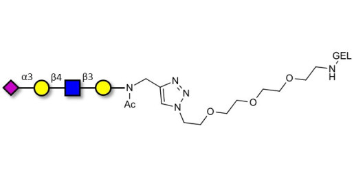 Sialylated tetraose type 2 grafted on gel for affinity chromatography (Linker-GEL A)