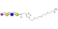 Sialylated tetraose type 2...