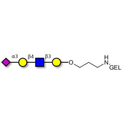 Sialylated tetraose type 2 grafted on gel for affinity chromatography (Linker-GEL B)