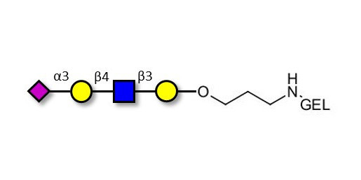 Sialylated tetraose type 2 grafted on gel for affinity chromatography (Linker-GEL B)