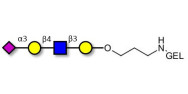Sialylated tetraose type 2...