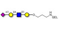 Sialylated tetraose type 2 grafted on gel for affinity chromatography (Linker-GEL B)