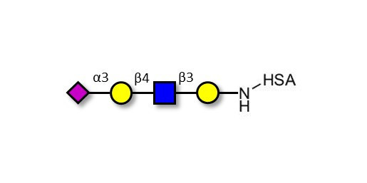 Sialylated tetraose type 2 grafted on HSA