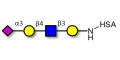 Sialylated tetraose type 2 grafted on HSA