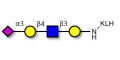 Sialylated tetraose type 2 grafted on KLH