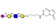 Sialylated tetraose type 2...