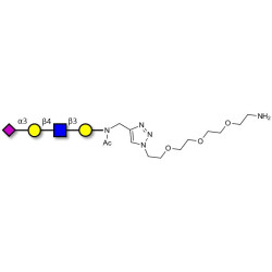 Sialylated tetraose type 2 with free terminal amine (Linker-NH2 B)
