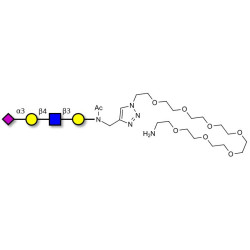 Sialylated tetraose type 2 with free terminal amine (Linker-NH2 C)