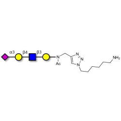 Sialylated tetraose type 2 with free terminal amine (Linker-NH2 D)