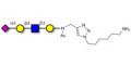 Sialylated tetraose type 2 with free terminal amine (Linker-NH2 D)