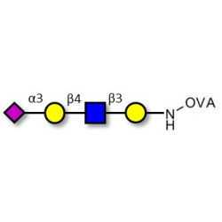 Sialylated tetraose type 2 grafted on OVA