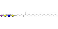 Sialylated tetraose type 2...