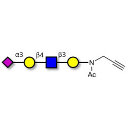 Sialylated tetraose type 2 with terminal alkyne (Linker-CΞCH A)