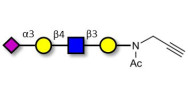 Sialylated tetraose type 2...