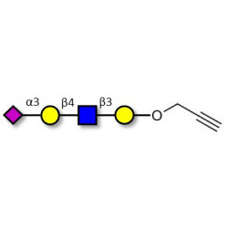Sialylated tetraose type 2 with terminal alkyne (Linker-CΞCH B)