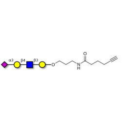 Sialylated tetraose type 2 with terminal alkyne (Linker-CΞCH C)