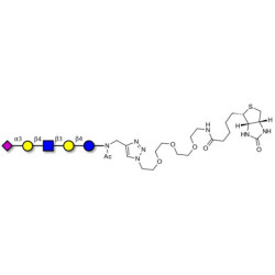 LS-Tetrasaccharide d (LSTd)  linked to biotin (Linker-BT A)