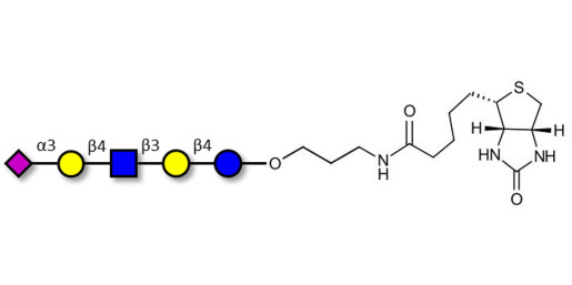 LS-Tetrasaccharide d (LSTd)  linked to biotin (Linker-BT B) - Sialyl-lacto-N-neotetraose d ; SLNnT-d