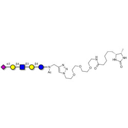 LS-Tetrasaccharide d (LSTd)  linked to desthiobiotin (Linker-DBT-A)