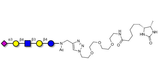 LS-Tetrasaccharide d (LSTd)  linked to desthiobiotin (Linker-DBT-A) - Sialyl-lacto-N-neotetraose d ; SLNnT-d