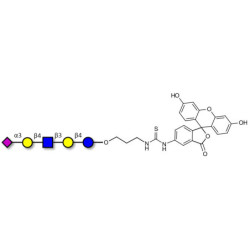 LS-Tetrasaccharide d (LSTd)  linked to fluorescein (Linker-FLUO A)
