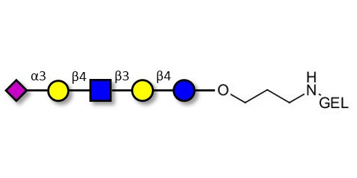 LS-Tetrasaccharide d (LSTd)  grafted on gel for affinity chromatography (Linker-GEL B) - Sialyl-lacto-N-neotetraose d ; SLNnT-d
