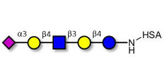 LS-Tetrasaccharide d (LSTd)...