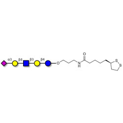LS-Tetrasaccharide d (LSTd)  with cyclic di-thiol (Linker-LIPO A)