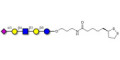 LS-Tetrasaccharide d (LSTd)  with cyclic di-thiol (Linker-LIPO A) - Sialyl-lacto-N-neotetraose d ; SLNnT-d