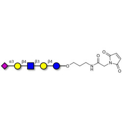 LS-Tetrasaccharide d (LSTd)  linked to maleimide (Linker-MAL A)