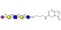 LS-Tetrasaccharide d (LSTd)  linked to maleimide (Linker-MAL A) - Sialyl-lacto-N-neotetraose d ; SLNnT-d