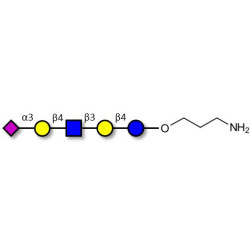 LS-Tetrasaccharide d (LSTd)  with free terminal amine (Linker-NH2 A)