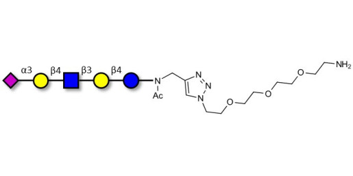 LS-Tetrasaccharide d (LSTd)  with free terminal amine (Linker-NH2 B) - Sialyl-lacto-N-neotetraose d ; SLNnT-d