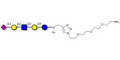 LS-Tetrasaccharide d (LSTd)  with free terminal amine (Linker-NH2 B) - Sialyl-lacto-N-neotetraose d ; SLNnT-d