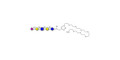 LS-Tetrasaccharide d (LSTd)  with free terminal amine (Linker-NH2 C) - Sialyl-lacto-N-neotetraose d ; SLNnT-d