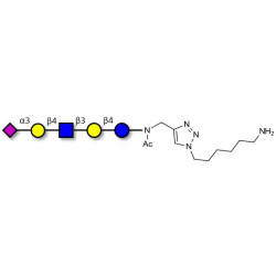 LS-Tetrasaccharide d (LSTd)  with free terminal amine (Linker-NH2 D)
