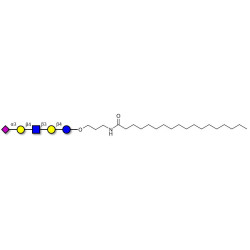 LS-Tetrasaccharide d (LSTd)  with stearic chain (Linker-STEA A)