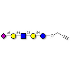 LS-Tetrasaccharide d (LSTd)  with terminal alkyne (Linker-CΞCH B)