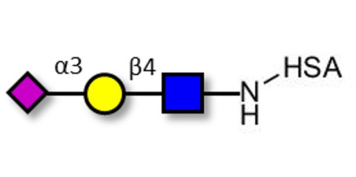 3'-α-sialyl-Acetyl-Lactosamine (3'SIA-LN) grafted on HSA - Sialylated triose type 2 (sLex precursor)