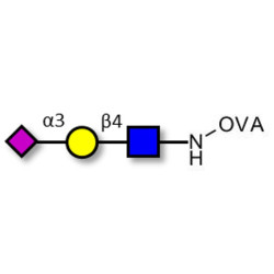 3'-α-sialyl-Acetyl-Lactosamine (3'SIA-LN) grafted on OVA
