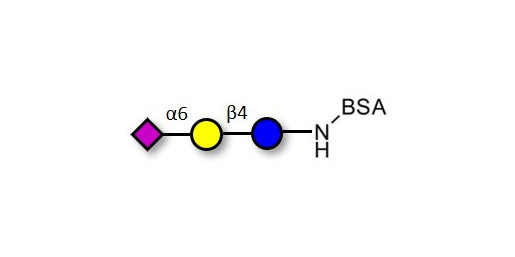 2,6'-Sialyllactose (6'-SL) grafted on BSA - 6'-SL ; N-Acetylneuramin-lactose