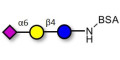 2,6'-Sialyllactose (6'-SL) grafted on BSA - 6'-SL ; N-Acetylneuramin-lactose
