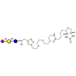 2,6'-Sialyllactose (6'-SL) linked to biotin (Linker-BT A)