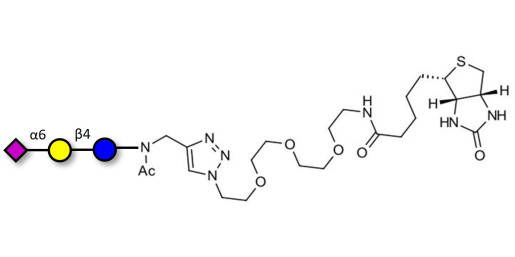 2,6'-Sialyllactose (6'-SL) linked to biotin (Linker-BT A) - GLY089-NAc-sp3-Bt ; 6'-SL ; N-Acetylneuramin-lactose